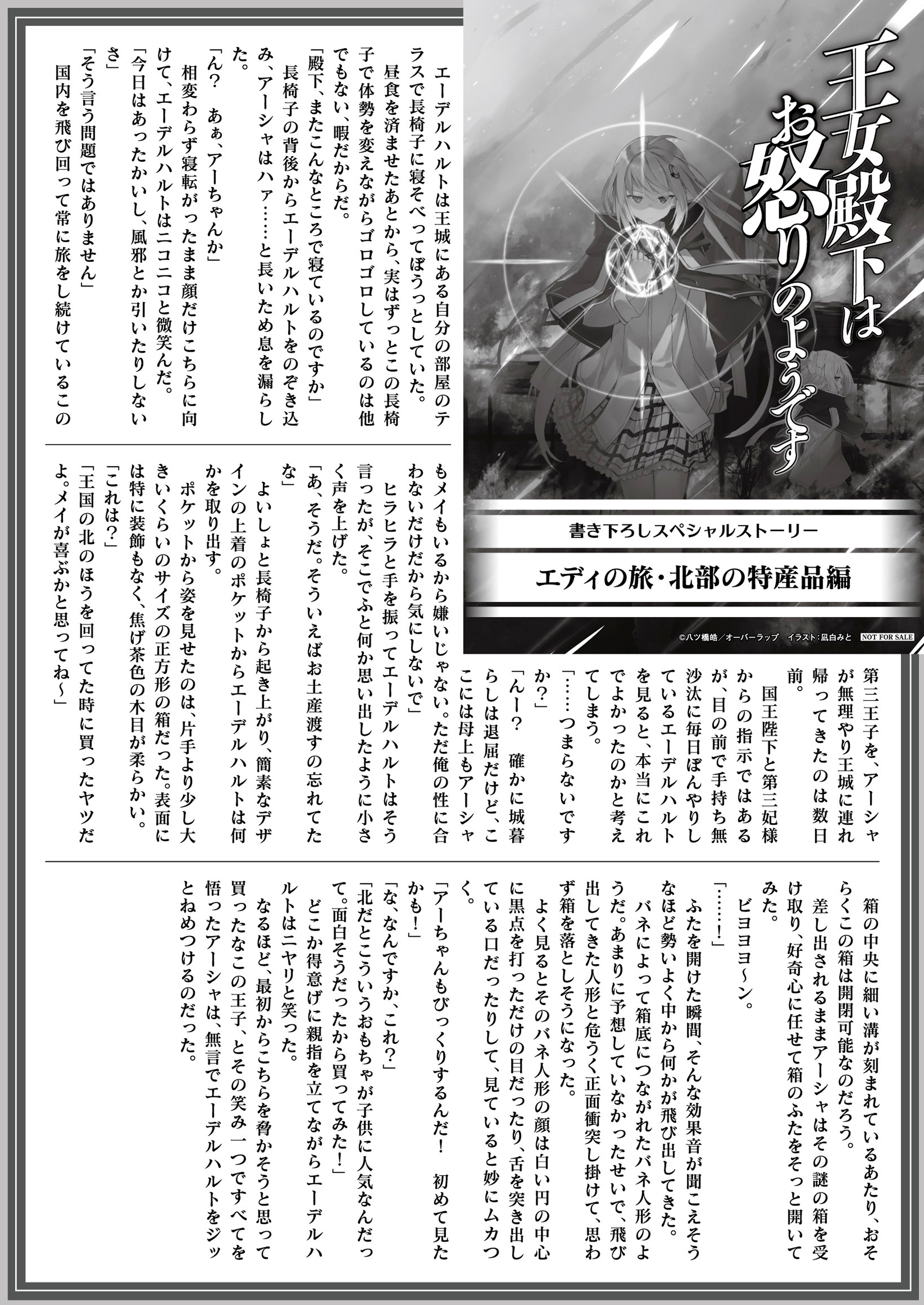 【文庫】「王女殿下はお怒りのようです 4.交錯する記憶」B5SSペーパー